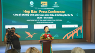 Dr. Ngo Phuong Lan: Den asiatiske filmfestival i Da Nang vender tilbage med større skala og flere aktiviteter.