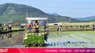 ເປັນຄັ້ງທຳອິດທີ່ຊາວກະສິກອນຢູ່ແຂວງ ກີຊວນ ປູກເຂົ້າໂດຍໃຊ້ເຄື່ອງຈັກ ແລະ ເບ້ຍໄມ້ໃນຖາດ.