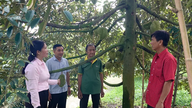 Góp phần giữ vững trận địa tư tưởng
