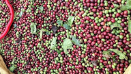 Los precios del café bajaron ligeramente, mientras que los precios de la pimienta subieron 1.000 VND/kg en general.