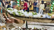 Frugtfestivalen var lige åbnet, og de besøgende var skødesløst i gang med at pille de dekorative udstillinger af.