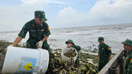 Xã Hồ Tràm ra quân thu gom lục bình và rác đại dương