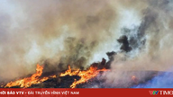 Le risque d'incendies de forêt à Tay Ninh a atteint son niveau le plus bas.