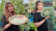 ប្ដីប្រពន្ធមួយគូនៅខេត្តដុងណៃ ដាំបន្លែ និងចិញ្ចឹមមាន់នៅលើដំបូលផ្ទះរបស់ពួកគេ អាចទទួលបានអាហារស្អាតពេញមួយឆ្នាំ។