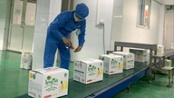 Hai Phong aims to have around 20 companies among the 500 largest private companies in Vietnam.