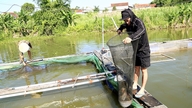 Petani tersebut meraih kesuksesan dengan membudidayakan ikan di dalam keramba di bendungan Cau Sat.