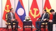 Ensure close coordination to effectively implement the high-level agreements between Vietnam and Laos.