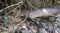 Quang Ngai: Gli abitanti del luogo scoprono una bomba inesplosa risalente alla guerra.