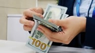 Taxas de câmbio hoje, 3 de julho: USD cai, CNY sobe.