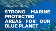 Mnoho zemí si v roce 2026 připomíná Světový den oceánů.