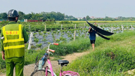 Kite flying near Cat Bi airport is once again causing the diversion of many flights.