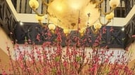 Η Μις Βιετνάμ Ντου Μι Λιν μοιράζεται την εμπειρία της στη διδασκαλία του παιδιού της: Η μικρή Του Αν εντυπωσιάζει με τον κομψό γραφικό της χαρακτήρα.