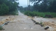 北部諸州は、豪雨と洪水への対応策を緊急に実施している。