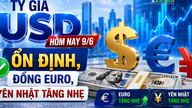 本日6月9日、米ドル為替レートは安定していた一方、ユーロと日本円は小幅に上昇した。