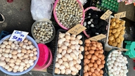 Le prix des œufs a chuté, les agriculteurs subissent de lourdes pertes et les ventes au détail n'ont que légèrement diminué.
