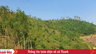 The verdict behind the forests