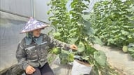 יישום טכנולוגיה מתקדמת מסייע בשיפור הניהול ואיכות המוצר.