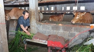 ការផ្លាស់ប្តូរគំរូជីវភាពរស់នៅ