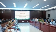 Oferirea de asistență juridică ajută la stabilizarea mediului de investiții și de afaceri.