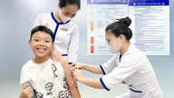 People should proactively get vaccinated against dengue fever.