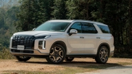 У травні Hyundai продав у В'єтнамі 3 921 автомобіль.