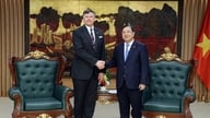Instamos a Estados Unidos a que elimine a Vietnam de las listas de control de exportaciones D1 y D3 lo antes posible.