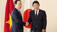 Promocja wszechstronnego partnerstwa strategicznego między Wietnamem a Japonią.