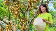 از گرما در باغ میوه فرار کنید.