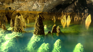 Phong Nha - điểm đến lý tưởng để hòa mình vào thiên nhiên và chữa lành