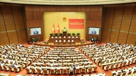 National Conference to understand and implement Resolution No. 06-NQ/TW