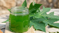 7 helsefordeler ved å drikke papayabladjuice tre ganger i uken.