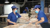 L'industrie du bois vietnamienne fait face à d'importantes opportunités en Amérique du Nord.