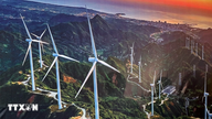 De provincie Quang Ninh versnelt haar inspanningen om investeringen in hernieuwbare energie aan te trekken.