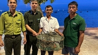 Ular piton retikulata yang langka dan berharga telah dilepasliarkan kembali ke hutan di Kawasan Konservasi Cu Lao Cham.