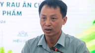 3 mối nguy cần kiểm soát trên rau