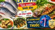 Esse tipo de peixe, frequentemente chamado de "galinha d'água", custa apenas algumas dezenas de milhares de dongs por quilo, mas é rico em nutrientes e bom para os ossos e articulações de pessoas de meia-idade.
