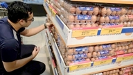 Die Eierpreise sind stark gefallen, was zu hohen Verlusten für die Landwirte geführt hat, aber die Preise in den Supermärkten bleiben hoch.