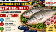 ត្រីប្រភេទនេះសម្បូរទៅដោយអូមេហ្គា ៣ ដែលជួយដល់សុខភាពខួរក្បាល និងសរសៃឈាមបេះដូង ត្រូវបានលក់ក្នុងតម្លៃថោកណាស់នៅក្នុងទីផ្សារវៀតណាម ប៉ុន្តែនៅតែត្រូវបានរិះគន់ដោយសារហេតុផលនេះ។