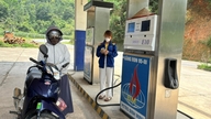 Les constructeurs automobiles annoncent la compatibilité de l'automobile avec le carburant E10 : quelles données étayent cette affirmation ?