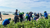 Briged 682, Wilayah 4 Tentera Laut, secara aktif mengambil bahagian dalam Hari Antarabangsa untuk Kepelbagaian Biologi dan Hari Alam Sekitar Sedunia.