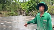 Quando os agricultores não são incomodados pelas contas de eletricidade