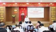 Da Nang strengthens diplomacy between people.