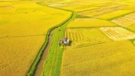 Un programme de prêts de près de 6 700 millions de VND pour le développement rural dans 8 provinces du nord.