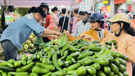 La Semaine des fruits « Sur le quai, sous le bateau » ouvre ses portes avec plus de 230 stands.