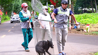 公共の場所で犬に口輪を装着させていない場合、最高200万ベトナムドンの罰金が科せられる。