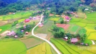 शांति का आह्वान