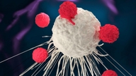 Descoperirea slăbiciunii genetice a cancerului cu celule mici.