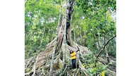 Awakening the "green gem" of Kon Ka Kinh