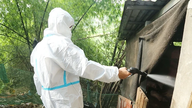 Lai Dong proactively prevents and controls diseases in livestock farming.