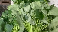 Los médicos aconsejan sobre cómo consumir las hojas de batata para aumentar significativamente su valor nutricional.